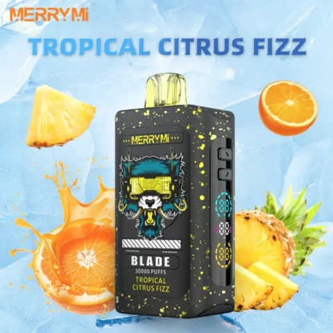 Merrymi Blade 30000 – nowoczesny design i port Type-C | 67dym.pl