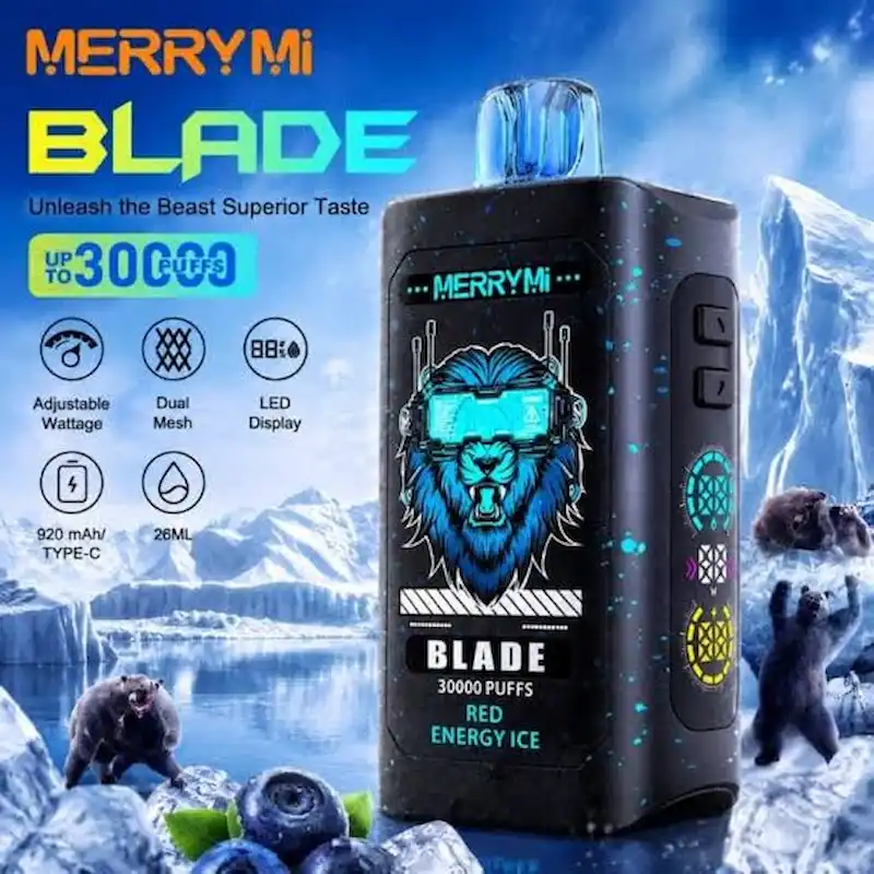 Merrymi Blade 30000 – nowoczesny design i port Type-C | 67dym.pl